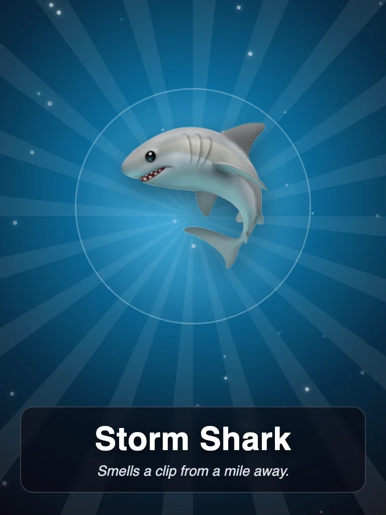 Storm Shark